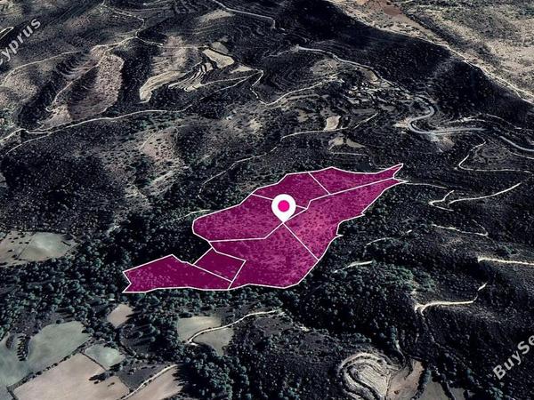 land under offer mousere paphos 1073568 image 17082341