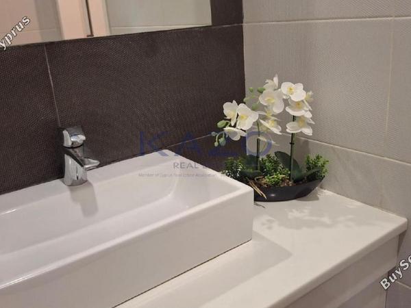 studio office for rent tsirion limassol 7805568 image 14627620