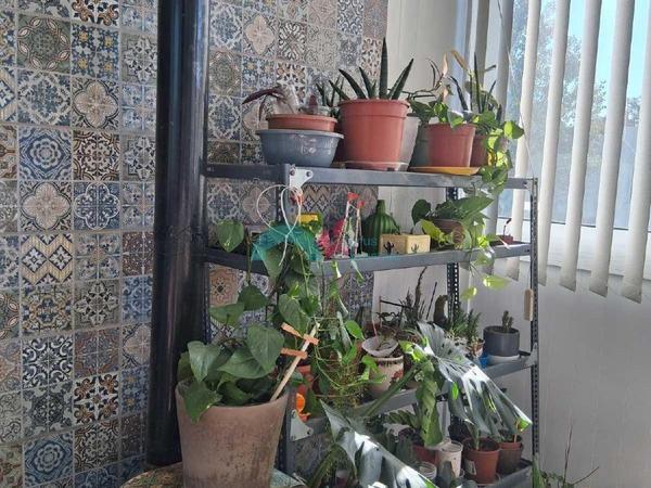 3 bedroom apartment for sale kokkinotrimithia nicosia 7987668 image 11991520
