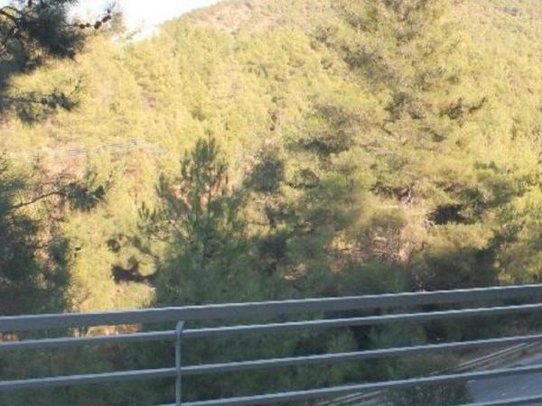 3 bedroom detached house for sale klirou nicosia 1684668 image 4404936