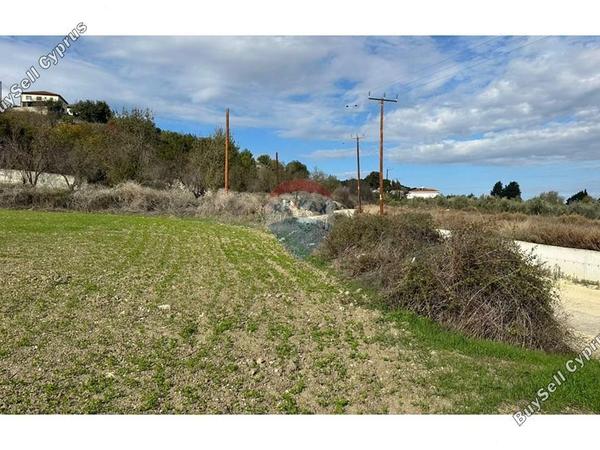 land for sale kallepeia paphos 7985668 image 14146646