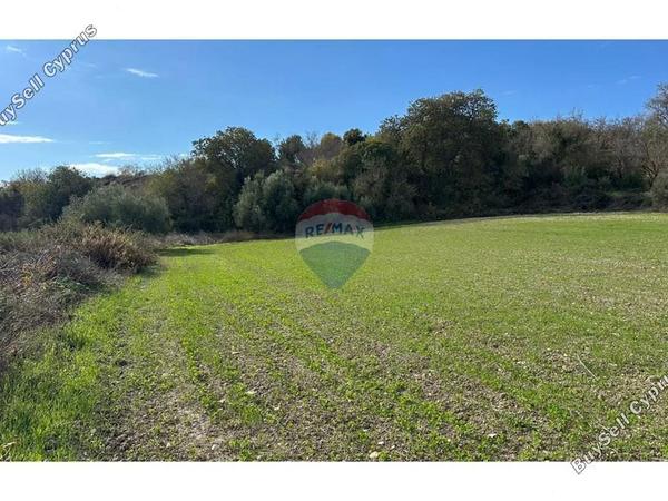 land for sale kallepeia paphos 7985668 image 14146647