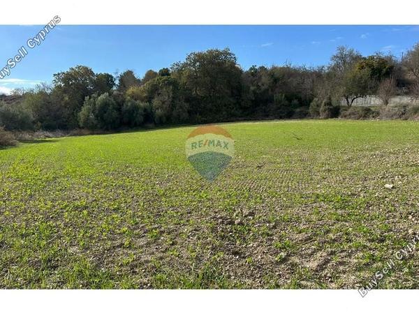 land for sale kallepeia paphos 7985668 image 14146648