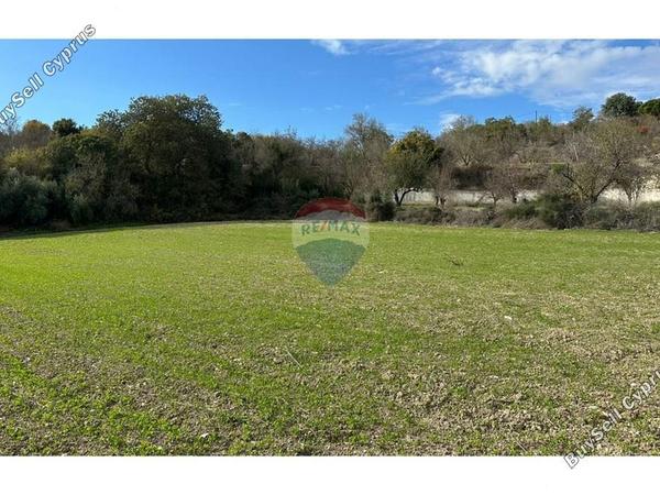 land for sale kallepeia paphos 7985668 image 14146649