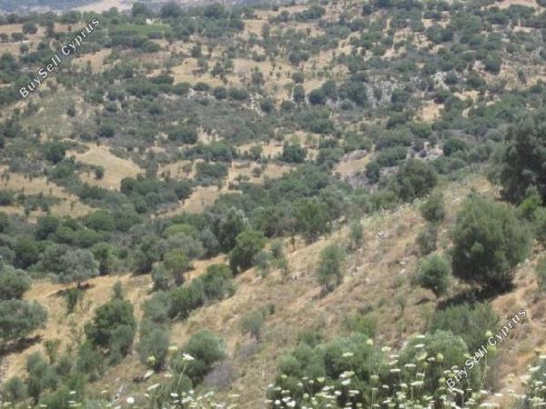 land for sale statos agios fotios paphos 945668 image 15598632