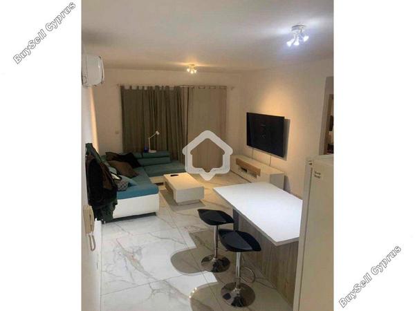 2 bedroom apartment for rent agios dometios nicosia 8902768 image 17372629