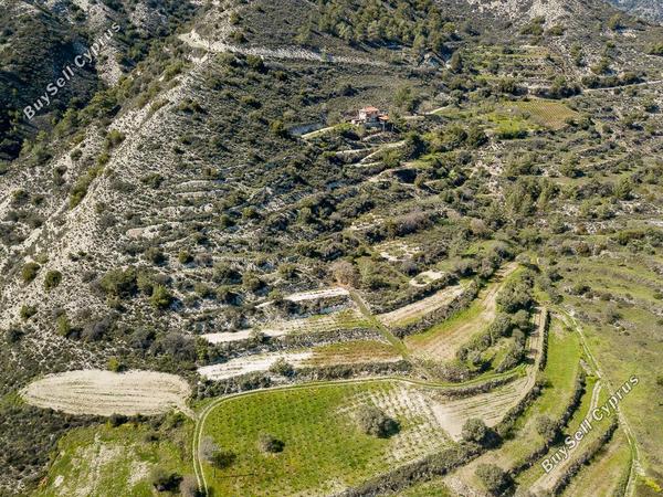 land for sale agios mamas limassol 925768 image 16009556