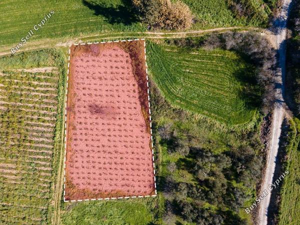 land for sale polemi paphos 908768 image 16225079