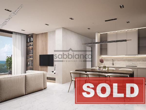 1 bedroom apartment sold geroskipou paphos 8744868 image 16426741