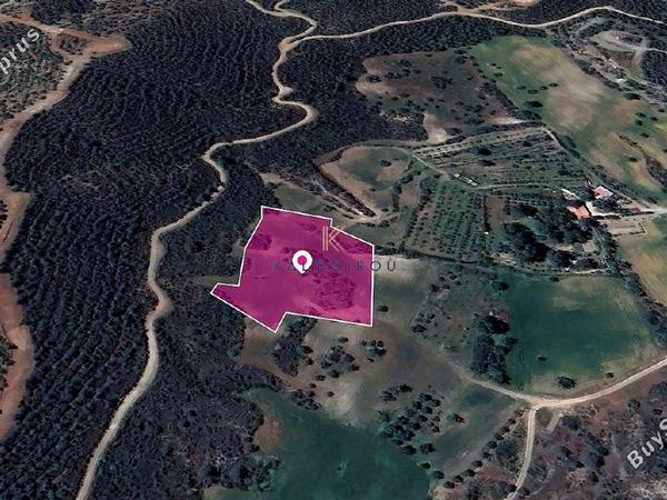land for sale kofinou larnaca 1649868 image 5661930