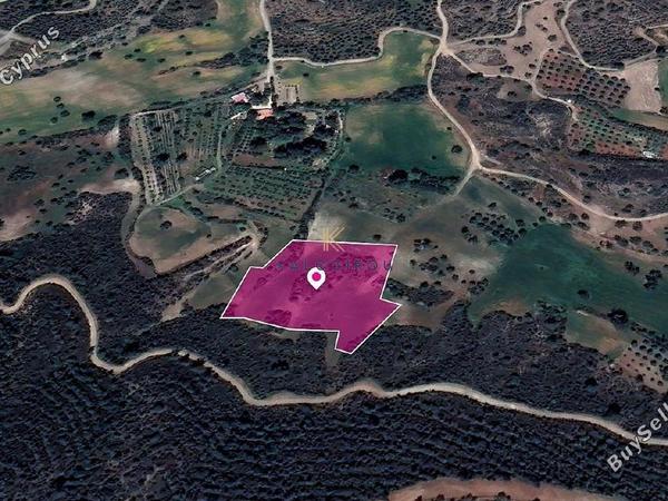 land for sale kofinou larnaca 1649868 image 5661933