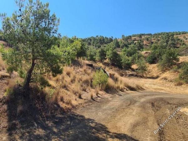 land for sale pano pyrgos nicosia 945868 image 7640586