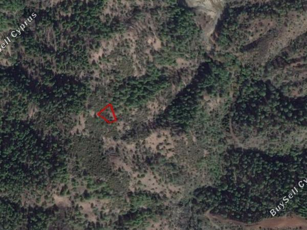land for sale pigenia nicosia 829868 image 12843167