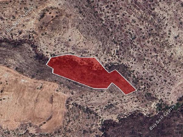 land for sale agios theodoros larnacas larnaca 1256968 image 10737885