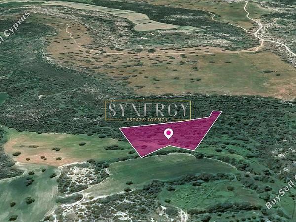 land for sale agios theodoros larnacas larnaca 1822968 image 16733670