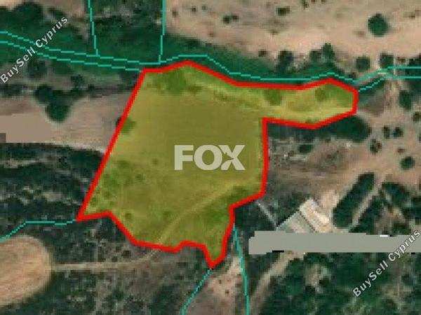 land for sale neo chorio paphos 1158968 image 7137262