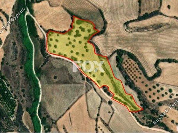 land for sale steni paphos 1159968 image 5534636