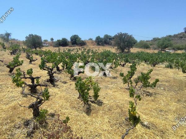 land for sale agios ambrosios limassol 1309078 image 7547322