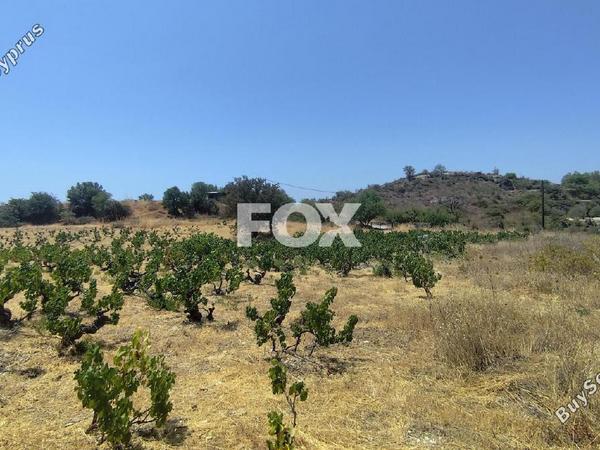 land for sale agios ambrosios limassol 1309078 image 7547323