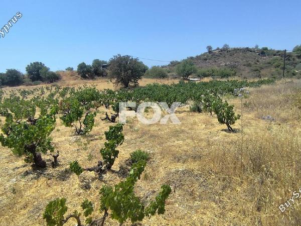 land for sale agios ambrosios limassol 1309078 image 7547325