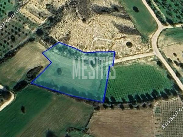 land for sale anafotida larnaca 8004078 image 12752626