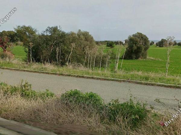 land for sale mazotos larnaca 8118078 image 13303651