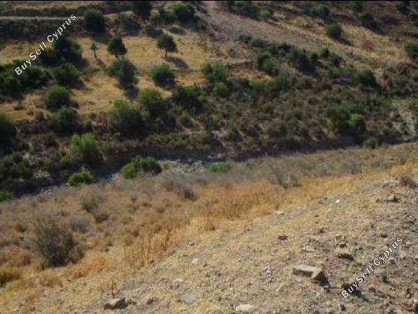 land for sale peyia paphos 823078 image 15599639