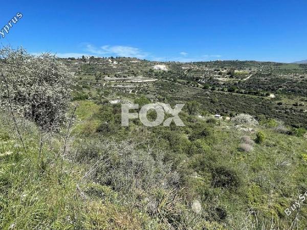 land for sale tsada paphos 1413078 image 5913109