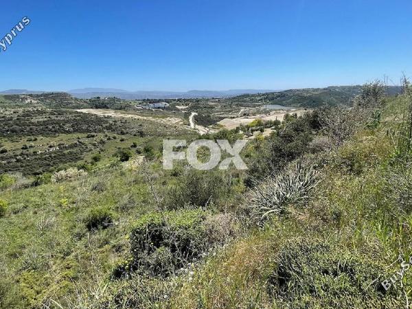 land for sale tsada paphos 1413078 image 5913111