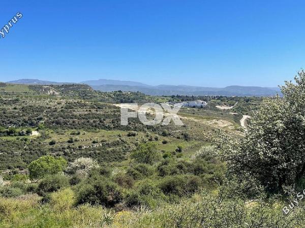 land for sale tsada paphos 1413078 image 5913113