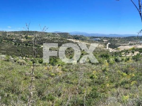land for sale tsada paphos 1413078 image 5913115