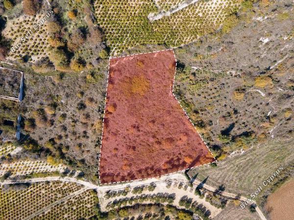 land for sale kathikas paphos 8532178 image 16306497