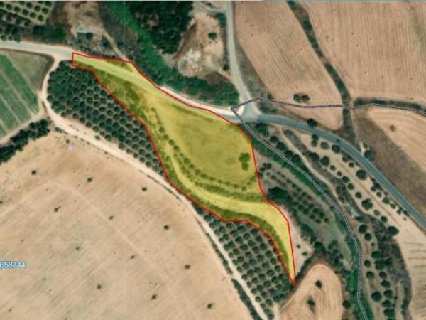 land for sale makounta paphos 7738178 image 10199386