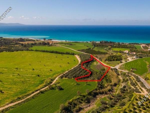 land for sale makounta paphos 7738178 image 10199388