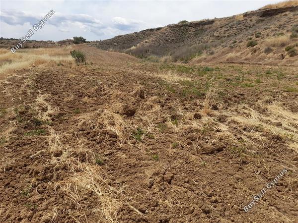land for sale palaiometocho nicosia 1073178 image 16180356
