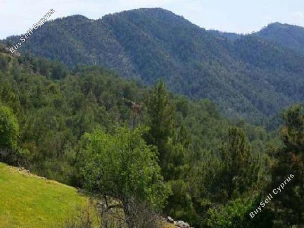 land for sale pigenia nicosia 8716178 image 16294803