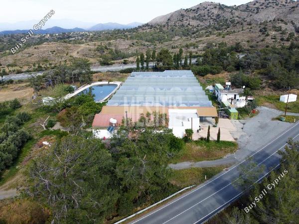 studio building for sale kornos larnaca 8287178 image 14038323