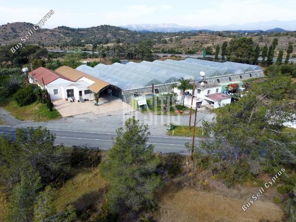 studio building for sale kornos larnaca 8287178 image 14038328
