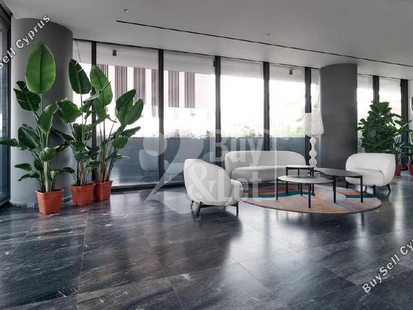 studio commercial building for rent tsirion limassol 7940178 image 14593778