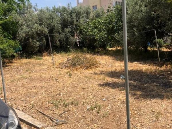 5 bedroom detached house for sale paphos municipality paphos 1355278 image 12374200