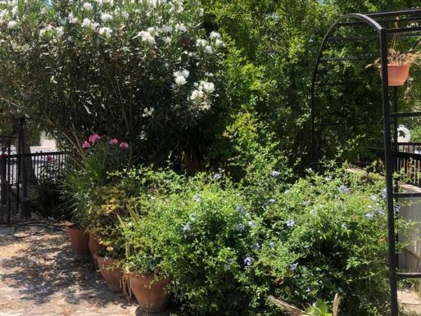 5 bedroom detached house for sale paphos municipality paphos 1355278 image 12374213