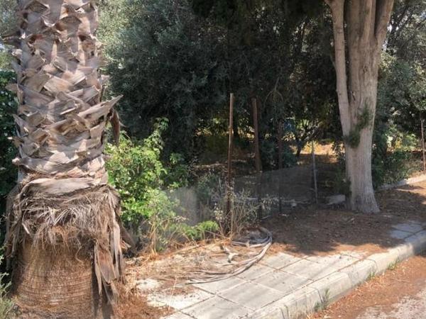 5 bedroom detached house for sale paphos municipality paphos 1355278 image 12374216