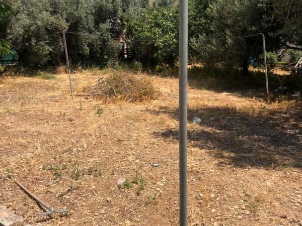 5 bedroom detached house for sale paphos municipality paphos 1355278 image 12374219