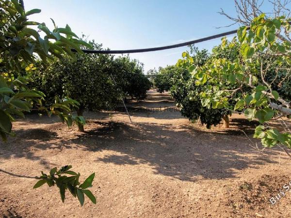 5 bedroom detached house for sale pervolia larnaca 7543278 image 14185463