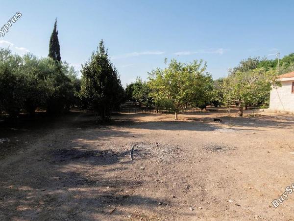 5 bedroom detached house for sale pervolia larnaca 7543278 image 14185465