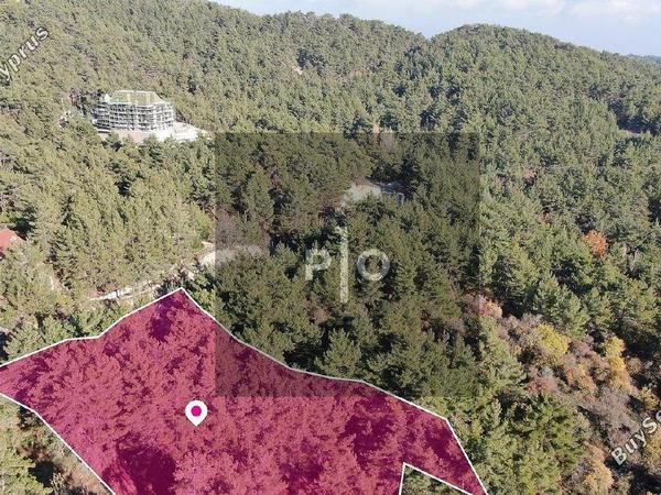 land for sale pano platres limassol 8275278 image 15158888