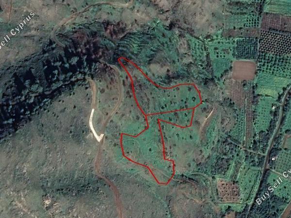 land for sale pigenia nicosia 839278 image 15664038