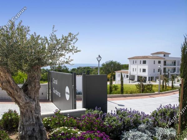 2 bedroom apartment for sale coral bay paphos 8408378 image 16038116