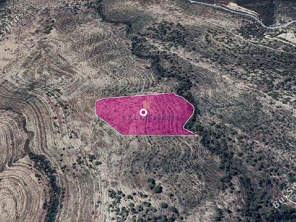 land for sale agios therapon limassol 1650378 image 5669033