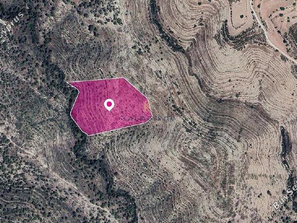 land for sale agios therapon limassol 1650378 image 5669038